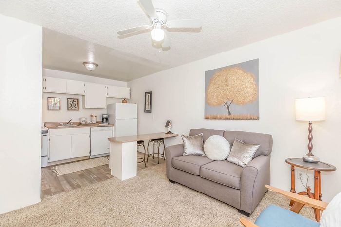 Inviting open-concept living room with soft carpeting, elegant sofa, compact kitchen with white cabinetry, and stylish decor accents.