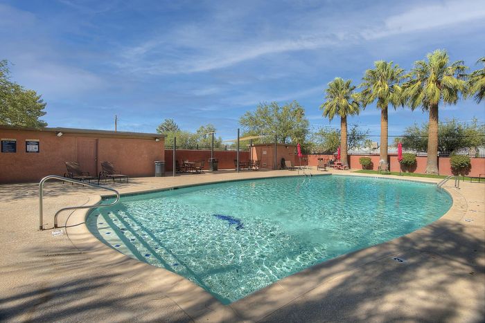 Refreshing outdoor swimming pool surrounded by palm trees and lounge chairs, perfect for relaxation under a clear blue sky.