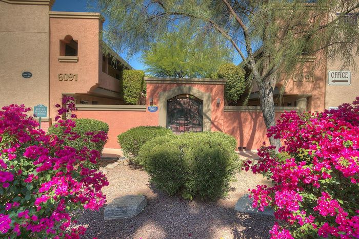 Charming apartment entrance with vibrant pink flowers and lush greenery under a clear blue sky.