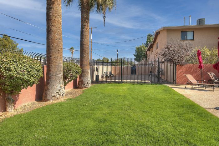 Charming apartment courtyard with lush green lawns, towering palm trees, and cozy loungers for relaxation.