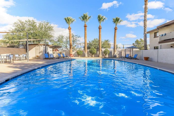 Inviting outdoor pool area with blue water, surrounded by tall palm trees and lounge chairs under a sunny sky.