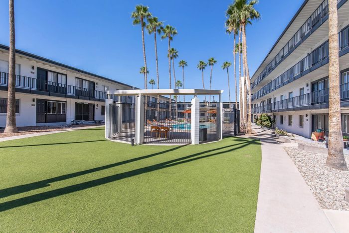 Green courtyard with swimming pool and palm trees at Miramonte on 3rd apartments in Tucson