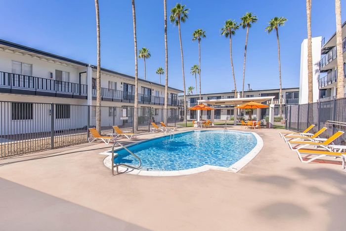 Courtyard pool with sun loungers and palm trees at Miramonte on 3rd in Tucson, AZ