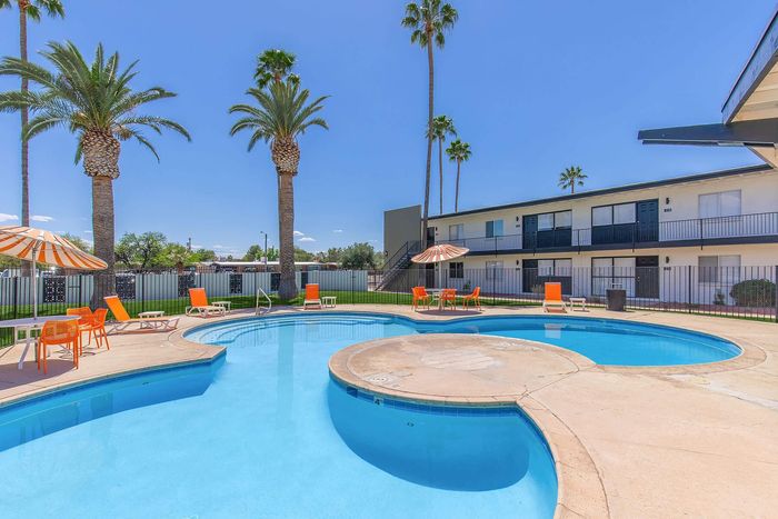Vibrant apartment complex showcasing a stunning pool area with lush palm trees and inviting lounge chairs under a clear blue sky.