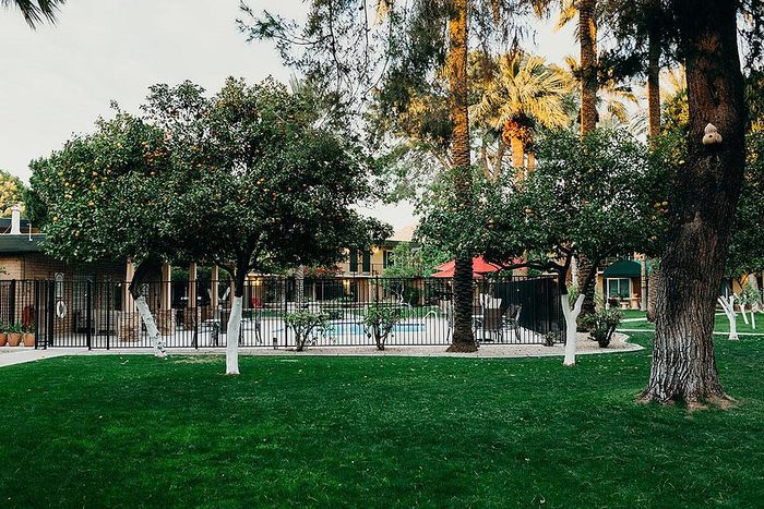 Beautiful apartment complex with lush greenery, fruit-bearing trees, and a fenced swimming pool area for a serene living experience.