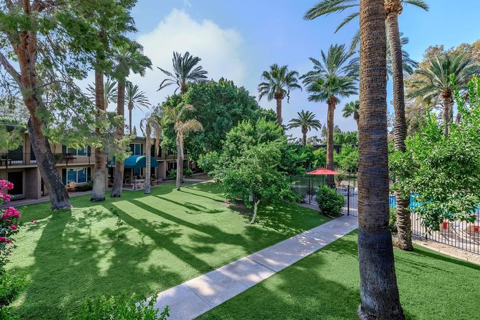 Lush green courtyard with tall palm trees and a refreshing pool, creating an oasis-like resort atmosphere.