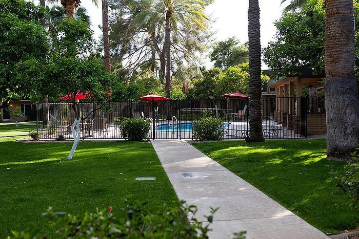 Lush garden pathway leading to a sparkling pool with red umbrellas and cozy seating, surrounded by tall palm trees.