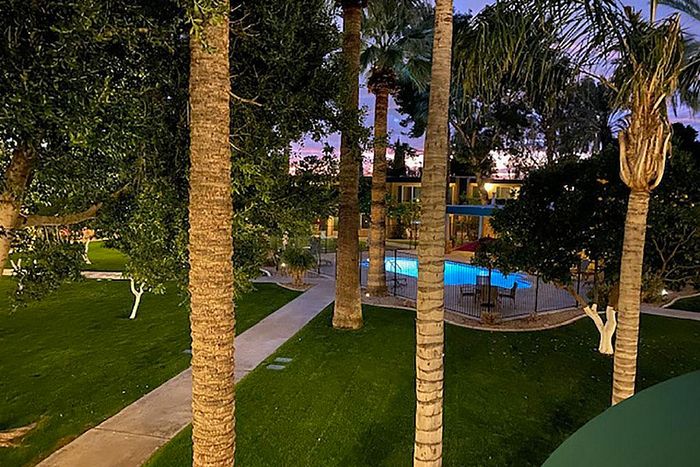 Serene garden view with tall palm trees and a bright, inviting swimming pool at dusk.