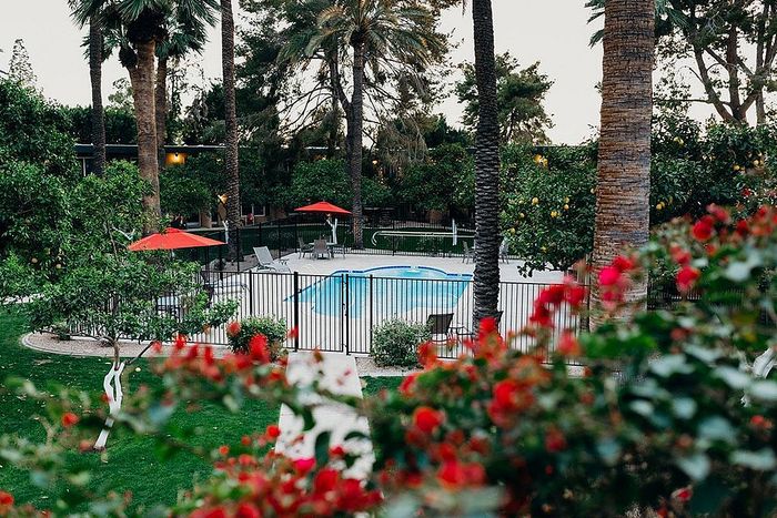 Lush garden view featuring a pool surrounded by elegant palm trees and vibrant red flowers, offering a perfect oasis for relaxation.
