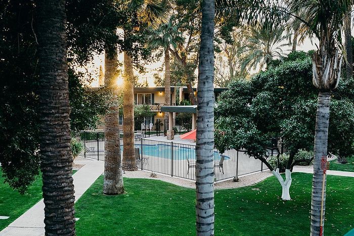 Tranquil apartment complex with lush greenery and inviting pool surrounded by tall palm trees at sunset.