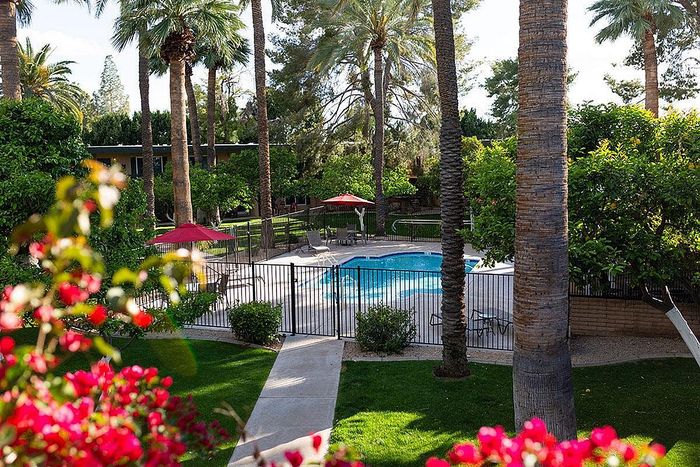 Serene apartment view with a stunning palm-lined pool area, framed by lush greenery and vibrant flowers.