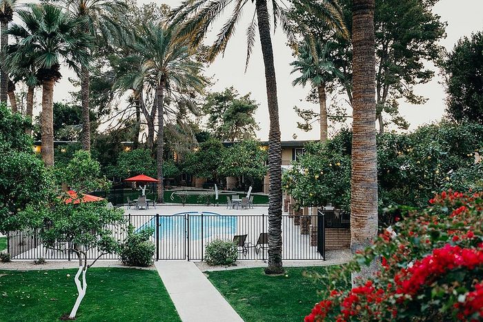 Serene apartment community featuring a sparkling pool surrounded by lush palm trees and vibrant gardens.