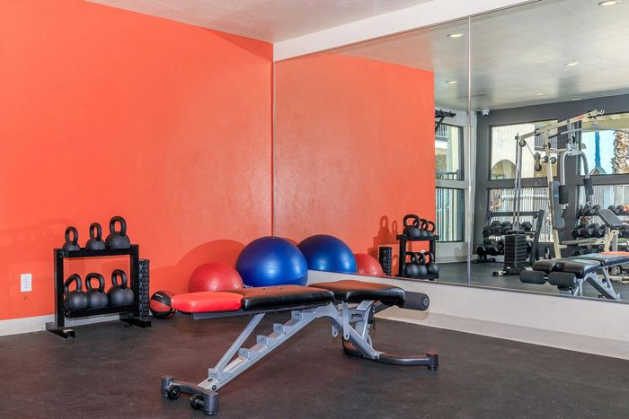 Modern fitness room featuring vibrant orange walls, workout bench, kettlebells, and exercise balls, perfect for an energizing workout.