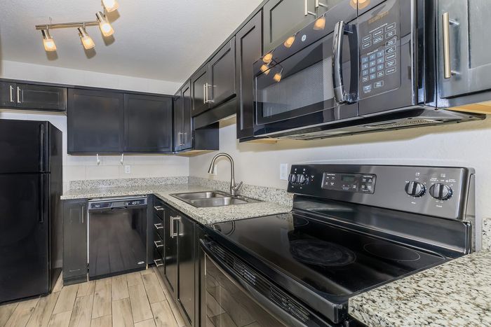 Modern kitchen with sleek black cabinetry, granite countertops, and stainless-steel appliances.