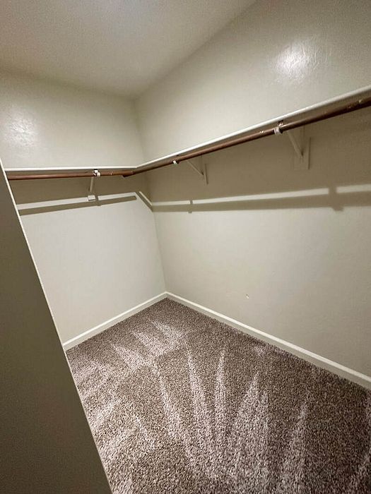 Spacious and well-lit walk-in closet with plush carpeting and double hanging rods for ample storage.