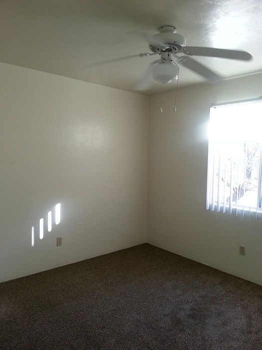 Bright and airy bedroom with plush carpet and large window, featuring a modern ceiling fan for comfort and style.