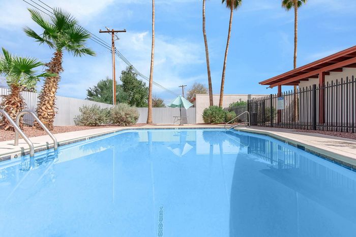 Serene outdoor swimming pool framed by tall palm trees and a charming patio, perfect for relaxation and leisure.