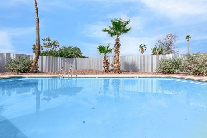 Inviting outdoor pool under a bright blue sky, surrounded by lush greenery and elegant palm trees.