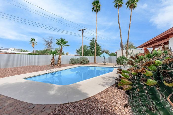 Inviting backyard oasis with sparkling pool surrounded by desert landscaping and tall palm trees under a clear blue sky.