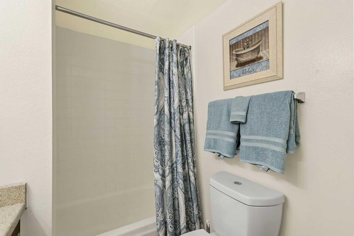 Inviting bathroom with elegant shower curtain, contemporary toilet, and relaxing artwork for a serene atmosphere.