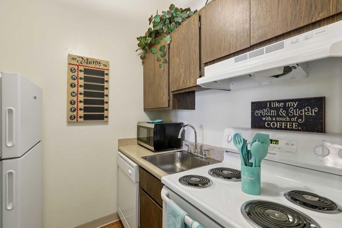 Cozy kitchen with charming decor, featuring a modern electric stove, spacious countertops, and a touch of greenery for a vibrant feel.