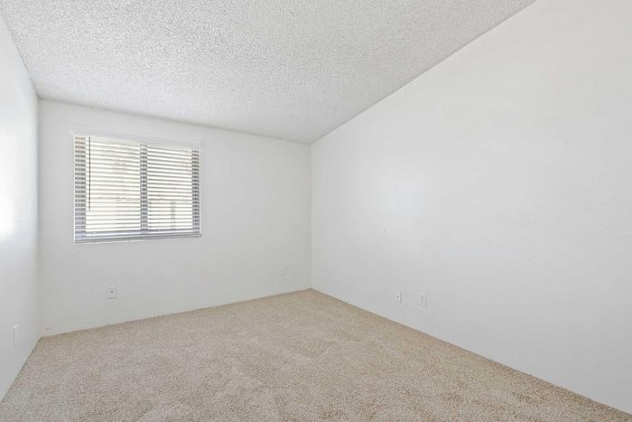 Bright and spacious bedroom with neutral carpeting and a large window, perfect for natural light and a cozy atmosphere.