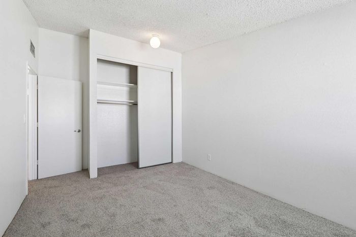 Bright, freshly carpeted bedroom with ample closet space and modern lighting, perfect for a cozy retreat.