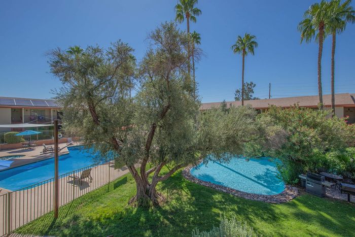 Serene apartment complex view featuring a sparkling swimming pool, lush greenery, and tall palm trees under a clear blue sky.