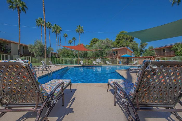 Inviting outdoor pool area with sun loungers, vibrant canopy shades, and lush palm tree surroundings.