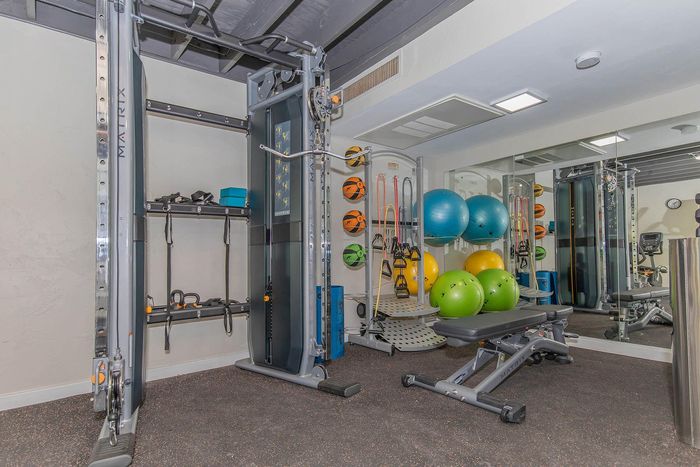 Modern gym setup with versatile equipment, colorful exercise balls, and sleek machinery for a dynamic workout environment.