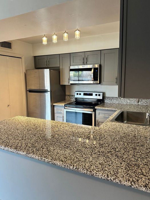 Modern kitchen with sleek stainless steel appliances, granite countertops, and elegant lighting.