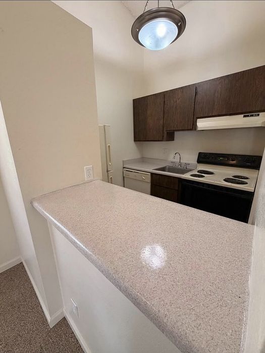 Cozy apartment kitchen with elegant countertops, sleek dark wood cabinets, and modern lighting.