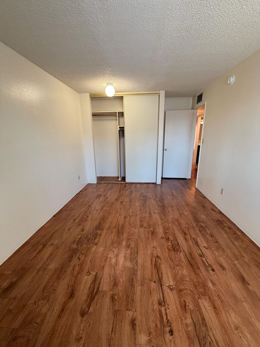 Elegant room with rich wooden floors, ample closet space, and soft lighting, offering a cozy and inviting atmosphere.