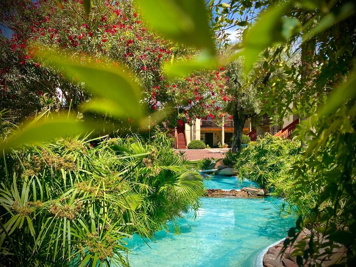 Lush garden oasis with vibrant foliage and crystal-clear water features, creating a serene escape.