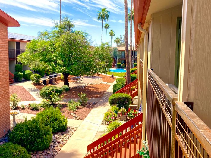 Charming apartment view showcasing a lush garden courtyard with vibrant greenery, inviting outdoor seating, and a shimmering swimming pool beneath a clear blue sky.