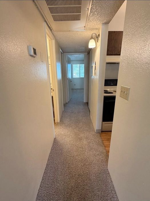 Bright apartment hallway with plush carpet, modern lighting, and peek into a cozy kitchen, leading to sunlit rooms with large windows.