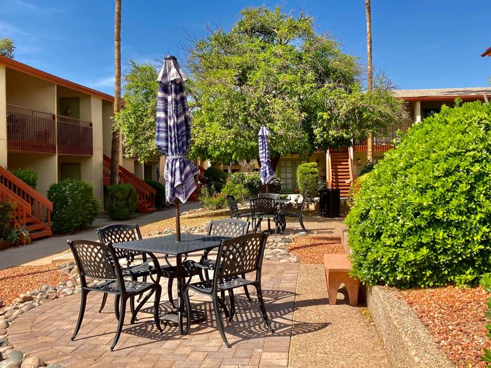 Charming apartment courtyard with lush greenery, stylish outdoor seating, and vibrant landscaping under a sunny sky.