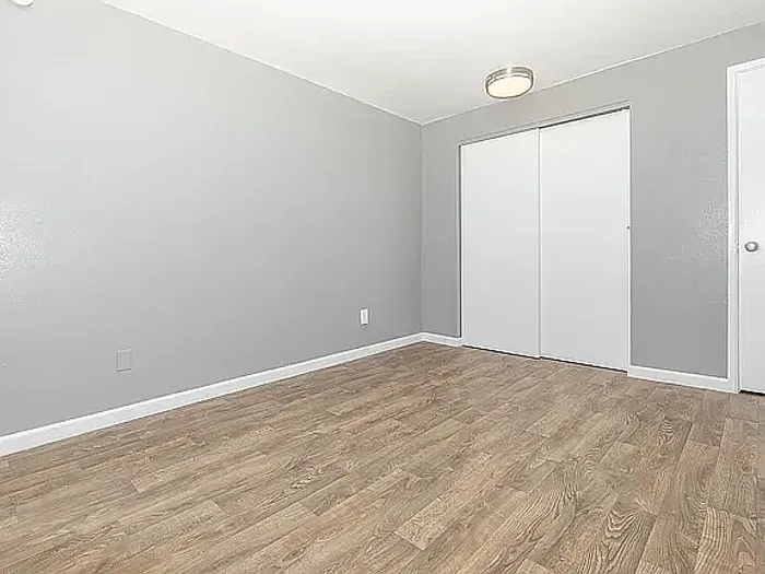 Bright room with elegant wood flooring, neutral gray walls, and a large sliding door leading to a spacious closet.