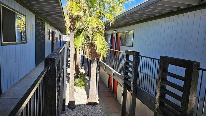 Charming apartment complex featuring modern architecture with palm trees lining a spacious walkway.