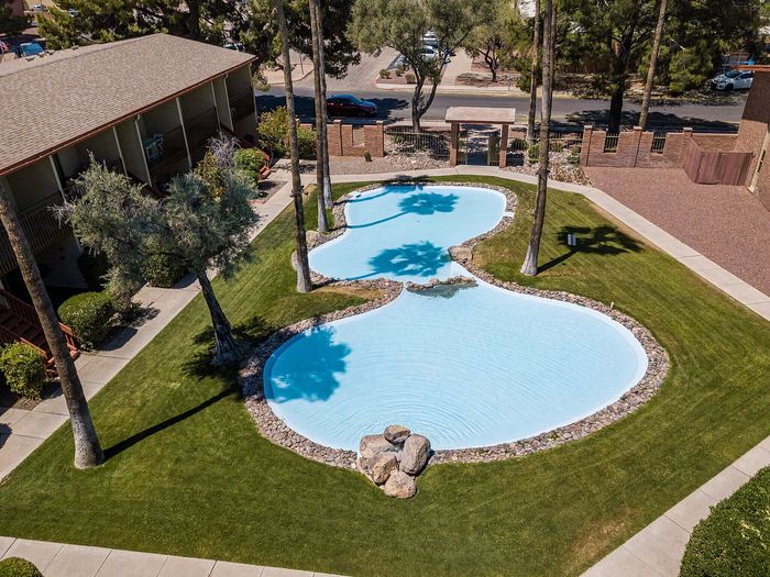Lush apartment landscape featuring a stylish, uniquely-shaped pool and vibrant green grass surrounded by tall palm trees.