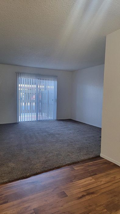 Bright living area with plush carpet and elegant hardwood floors, featuring large sliding glass doors that welcome natural light.