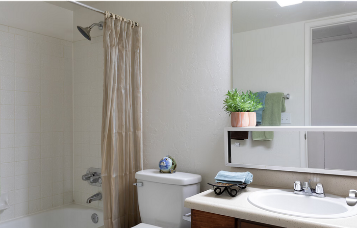 Modern bathroom with elegant fixtures, featuring a shower and bathtub, sleek vanity with a large mirror, and stylish decor.