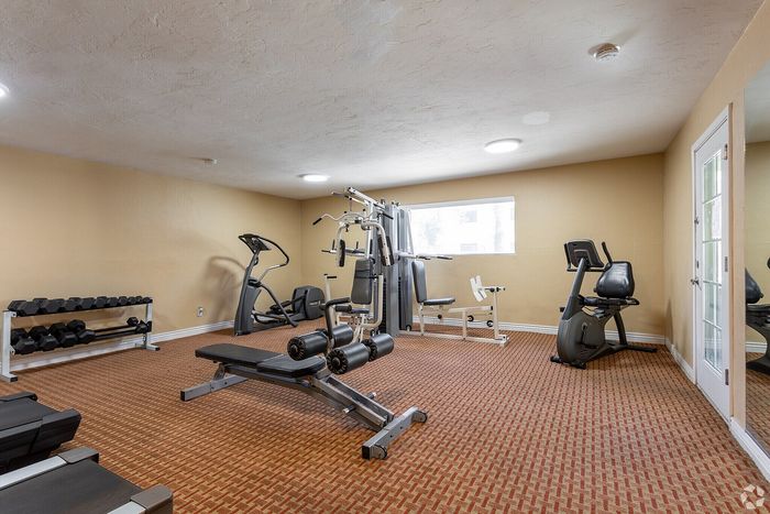 Bright and well-equipped fitness room featuring modern gym equipment, perfect for a productive workout session.