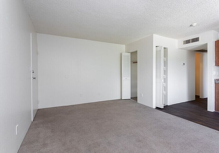 Bright and spacious living area with soft carpet flooring, open closet, and modern kitchen entry featuring stylish wood cabinetry.