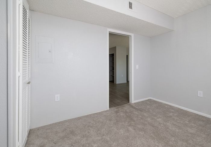 Bright, newly-renovated bedroom with plush carpeting and closet space, leading to a modern living area.