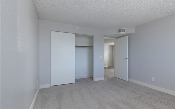 Spacious bedroom with soft carpeting and ample natural light, featuring a built-in closet with sliding doors and a modern design.