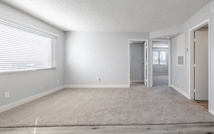 Bright and spacious apartment interior with large windows, fresh carpet, and modern design.