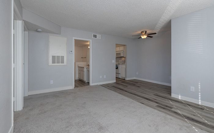 Modern apartment interior with plush carpet, sleek laminate floors, and a cozy kitchen area. Abundant natural light enhances the spaciousness.