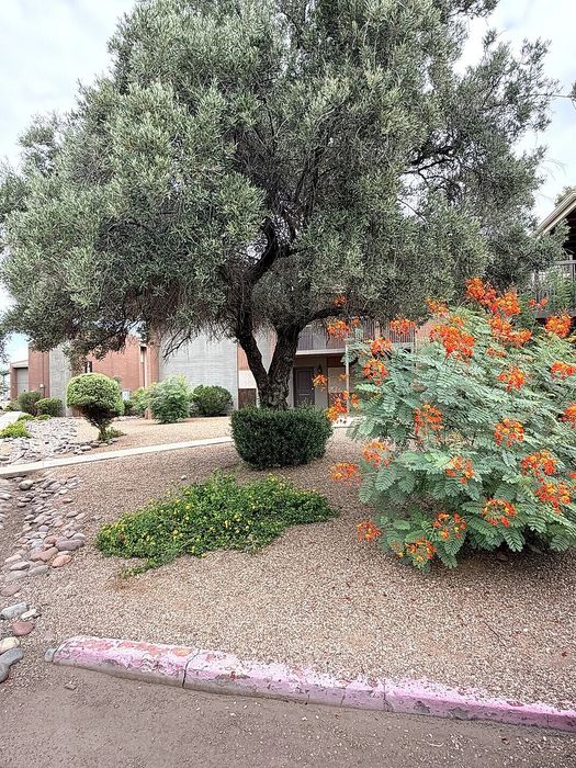 Charming apartment exterior with lush greenery and vibrant orange flowers, offering a serene residential environment.