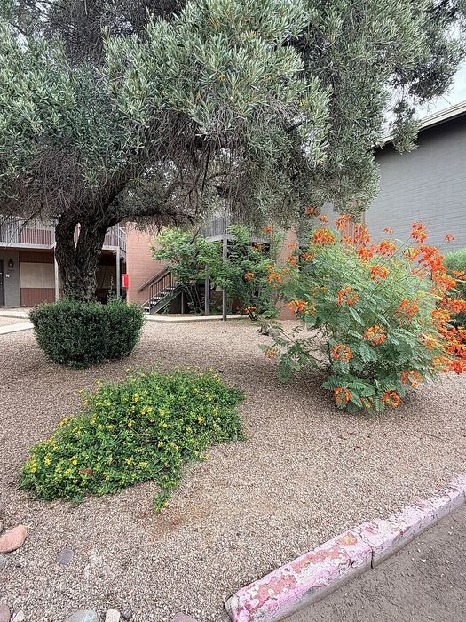 Tranquil apartment exterior with lush greenery, vibrant flowers, and a shaded walkway.